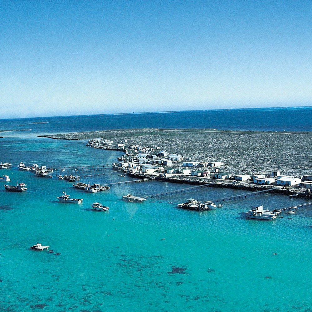 geraldton fishing tours